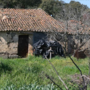 Molino del Duque