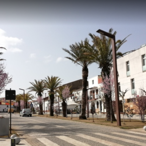 Avenida de Las Palmeras