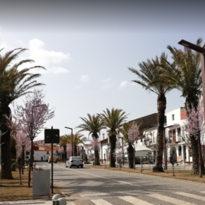 Avenida de las Palmeras