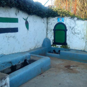 Fuente de los Salgueros