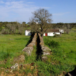 Zona De Molinos Harineros 