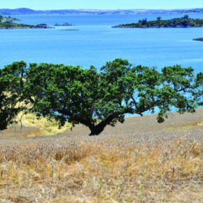 Mirador del Castillo de Cuncos