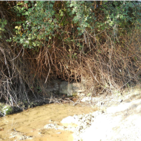 Fuente de la Serafina