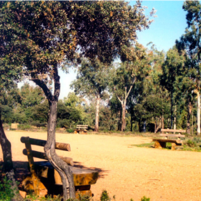 Zona de Recreo del Pocito
