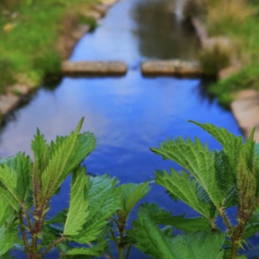 Fuente de Juan Durán