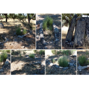 Tumbas Antropomorfas de Alcornocón