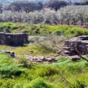 Complejo Termal De La Nava