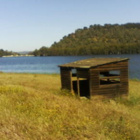 Observatorio Faunístico