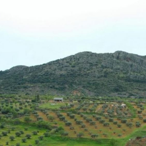 Sierra de Peñas blancas