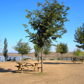 Merendero y Área de descanso de la Playa de Peloche
