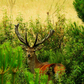 Reserva Regional de Cíjara