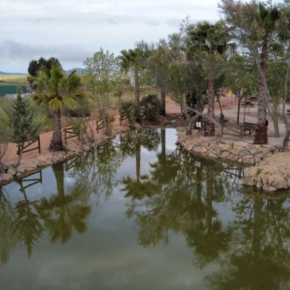 Zona de Ocio "El Estanque"