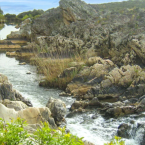 Zona de Ocio "Los Pilones"