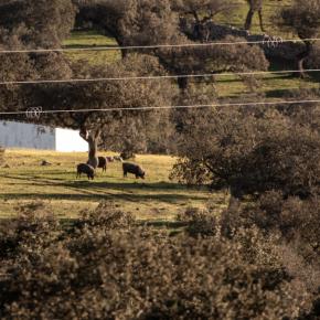 Mirador Turístico de Zafra a Bodonal de la Sierra