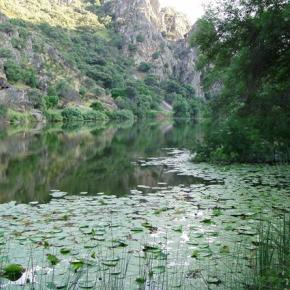 Imagen de las Hoces del Guadiana