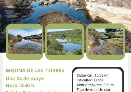 ruta