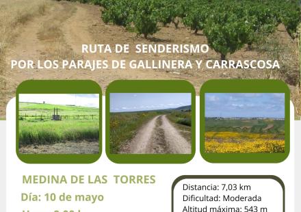 ruta de senderismo
