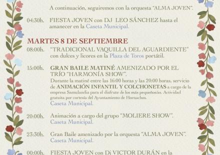 Programa de Feria y Fiestas Patronales en honor a la Virgen de los Remedios